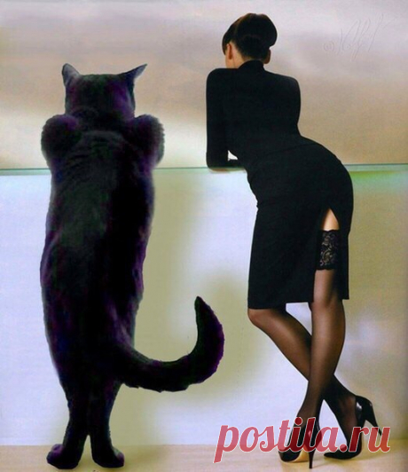 — Знаешь, Кот, в жизни реально много моментов, ради которых стоит жить. 
— Но между этими моментами хочется подохнуть несколько раз подряд.