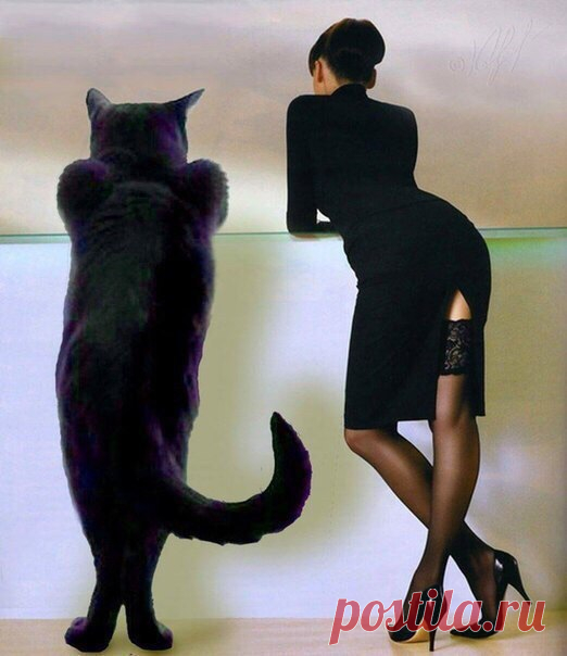 — Знаешь, Кот, в жизни реально много моментов, ради которых стоит жить. 
— Но между этими моментами хочется подохнуть несколько раз подряд.