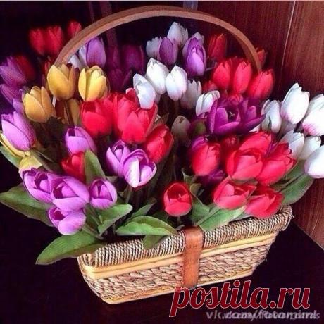 Надежда Владимировна
