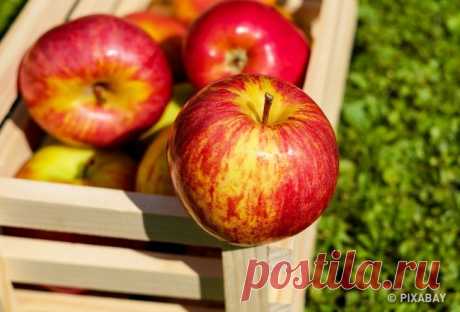 10 продуктов, которые помогают победить отеки — Домашний уют