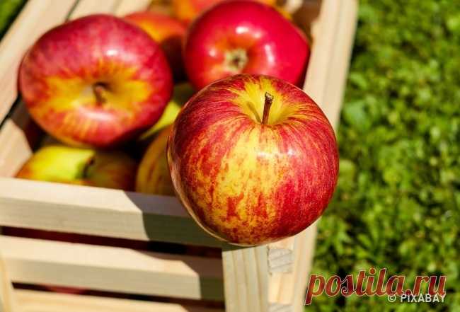 10 продуктов, которые помогают победить отеки — Домашний уют