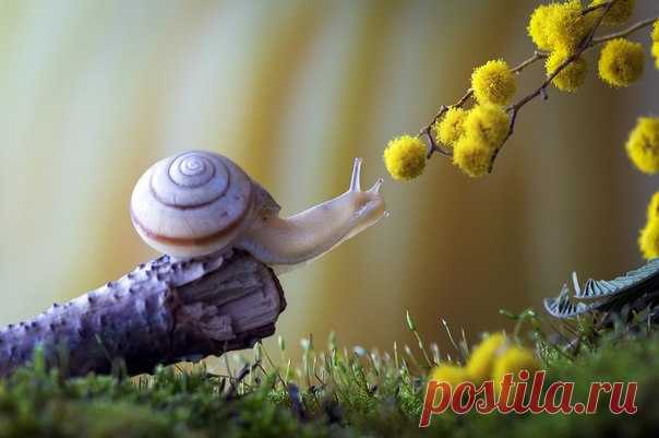 «Запахло весной». Автор фото — Евгений Анатольевич: nat-geo.ru/photo/user/296175/