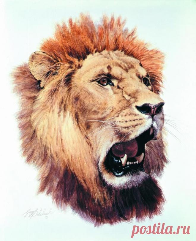 Кошачьи портреты Гая Коэлича - Искусство животных Гая Коэлича