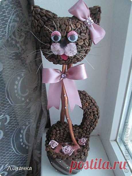 Кофейные кошки
