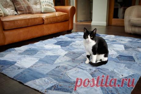 котик на джинсе