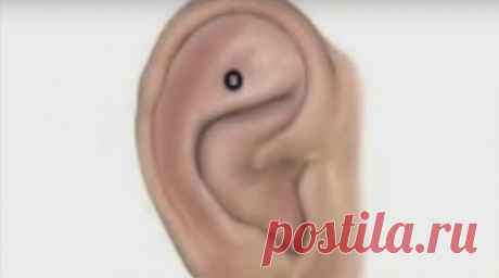 “Врата рая” теперь у тебя в ухе! Помассируй, и поймешь, в чем дело!