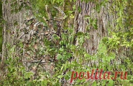 (10) Одноклассники