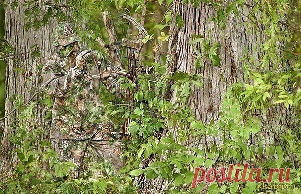 (10) Одноклассники