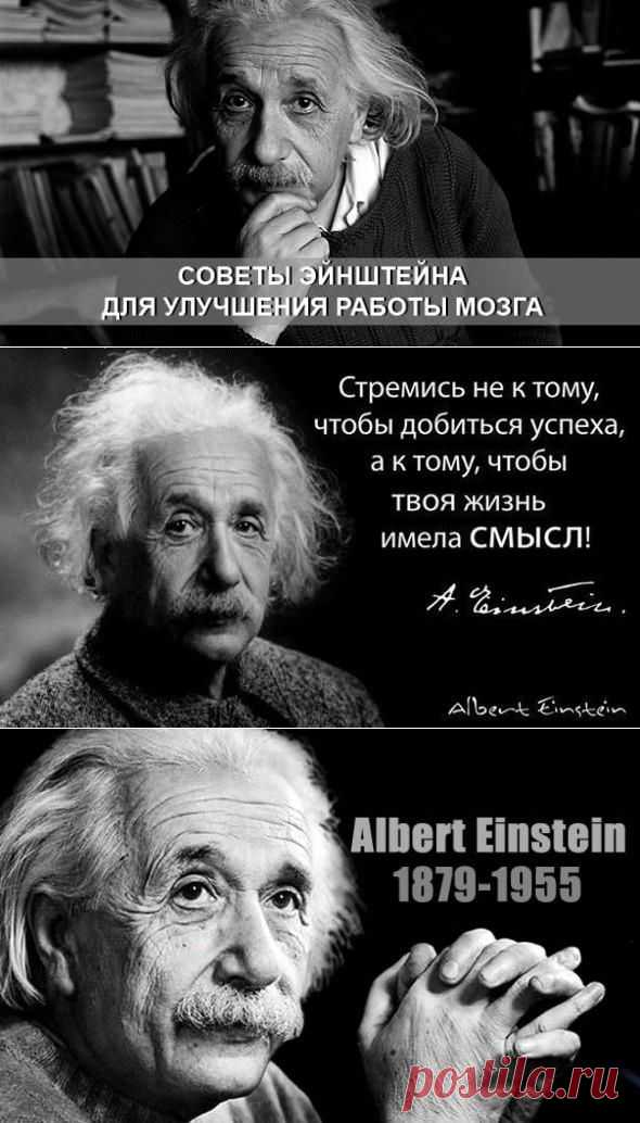 Тренируем мозг: 58 советов от великого Эйнштейна