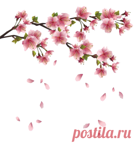 Spring flower PNG Transparent #43177 - Free Icons and PNG Backgrounds Spring flower PNG Transparent download number: #43177 - Daily updated free icons and png images for your projects. All images use to free for personal projects.