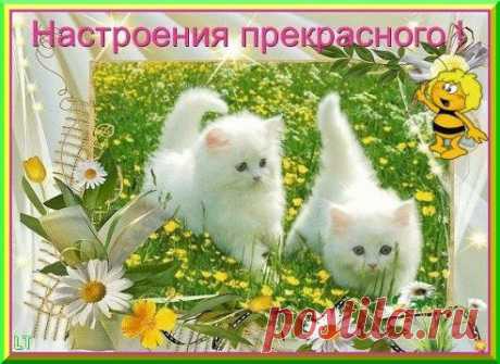 У Л Ы Б А Й С Я !!!
https://www.surprisse.com/muscards/view/2014/05/20/476cf43c00a71b1ba4f092652a8d1adl.php

У Л Ы Б А Й С Я !!!
У Л Ы Б А Й С Я !!! Как можно чаще улыбайся. И радость всем свою дари. С улыбкой лёгкой просыпайся От счастья в облаках пари. Жизнь так прекрасна, улыбайся. И радость в сердце береги. Дарить улыбку не стесняйся, Поверить в ...