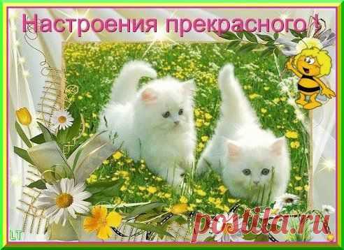 У Л Ы Б А Й С Я !!!
http://www.surprisse.com/muscards/view/2014/05/20/476cf43c00a71b1ba4f092652a8d1adl.php

У Л Ы Б А Й С Я !!!
У Л Ы Б А Й С Я !!! Как можно чаще улыбайся. И радость всем свою дари. С улыбкой лёгкой просыпайся От счастья в облаках пари. Жизнь так прекрасна, улыбайся. И радость в сердце береги. Дарить улыбку не стесняйся, Поверить в ...