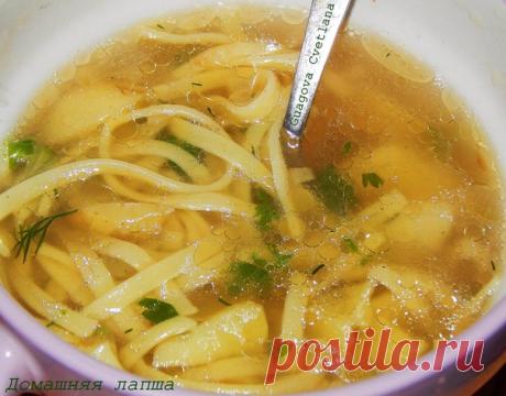 Суп-лапша. 

Светлана Гуагова (Корсун) 

Сварить насыщенный куриный бульон из курицы, луковицы и морковки, в конце вынуть курицу и посолить бульон. 
Добавить в готовый бульон картофель (у меня молодой) довести до кипения, уменьшить огонь и пока он варится сделать зажарку из небольшой луковицы на смеси растит. и сливочного масла до прозрачного цвета.Добавить зажарку к картофелю. Перед тем как картофель уже практически готов добавить яичную лапшу (у меня покупная высшего сор...