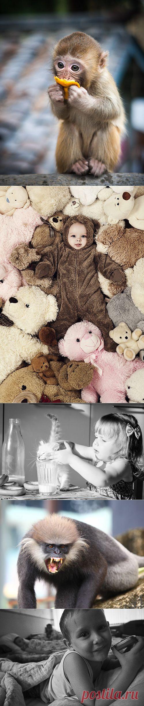 AdMe Photo Awards 2013. Лучшее на сегодня