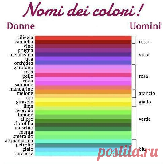 wZ_Uh0gF4pk.jpg (534×534)