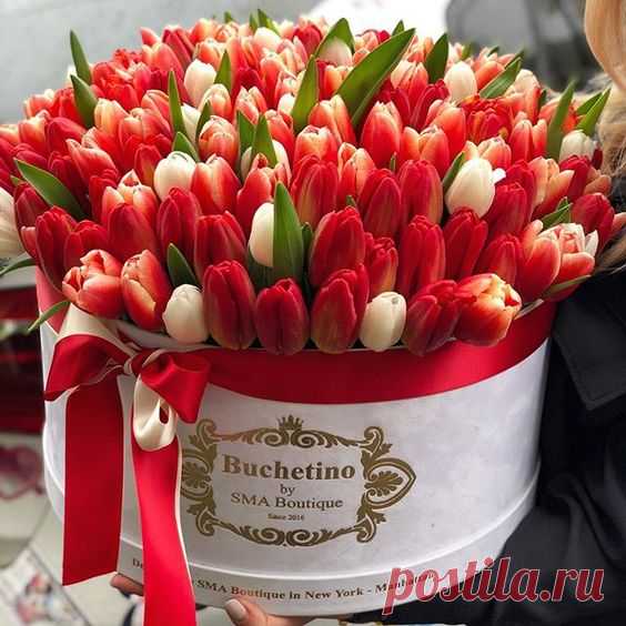 Всё неизбежно будет хорошо!
От этого не спрятаться. Не скрыться.
И нужно не поверить, а... смириться.
Всё НЕИЗБЕЖНО будет хорошо!