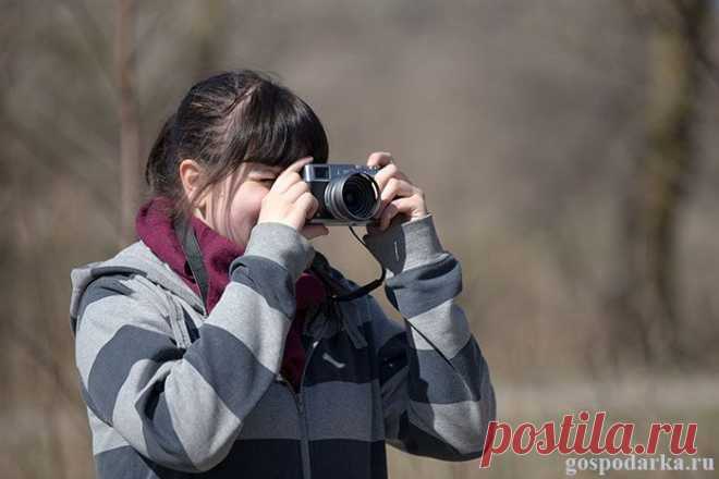 10 ценных советов начинающим фотографам | Господарка