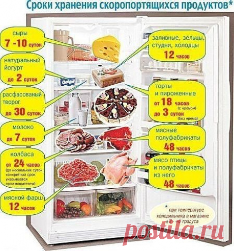 сроки годности