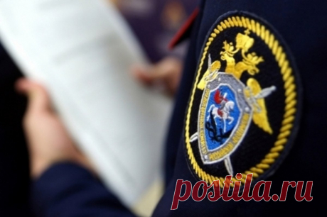В Петербурге завели дело после падения наледи на двухлетнего ребенка. На двухлетнего ребенка в коляске упала наледь с крыши на Новочеркасском проспекте в Санкт-Петербурге.