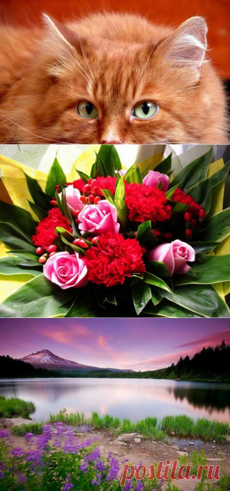 Обои на рабочий стол | Записи в рубрике Обои на рабочий стол | Дневник anngol