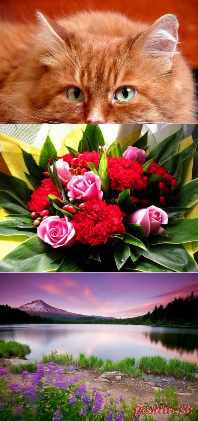 Обои на рабочий стол | Записи в рубрике Обои на рабочий стол | Дневник anngol