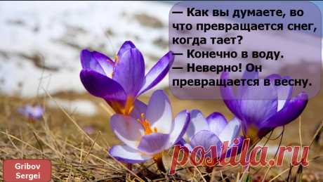 Сергей Грибов - Барнаул, Алтайский край, Россия, 34 года на Мой Мир@Mail.ru