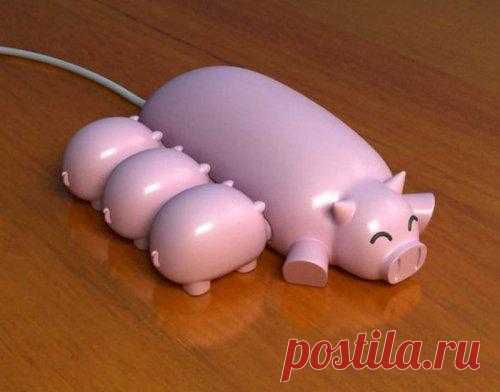 USB-хрюшки