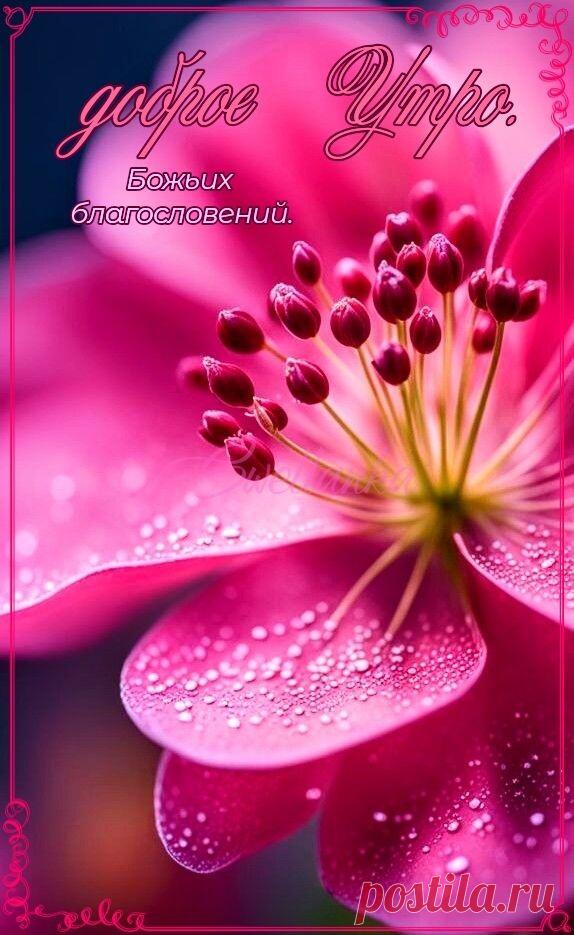 С добрым утром Привет Здрасте Добрый день