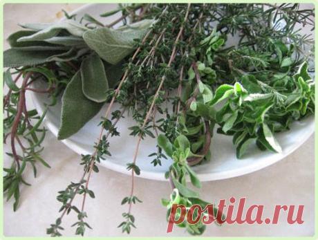 Какие травы могут стать талисманами