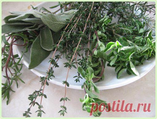 Какие травы могут стать талисманами