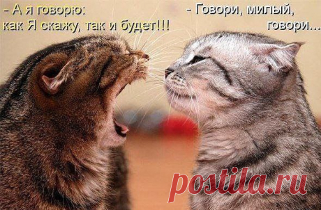 Интересные новости