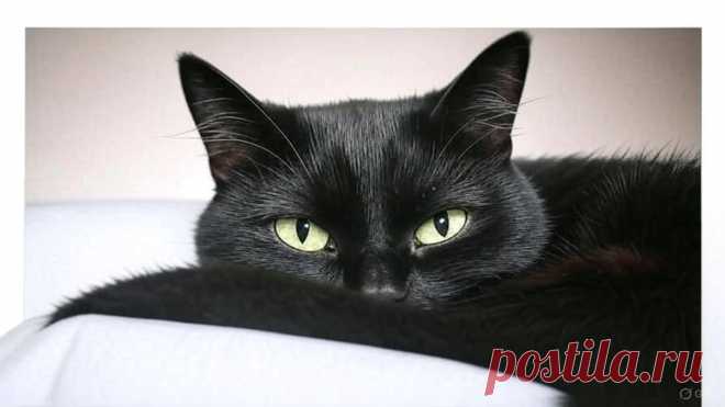 Успеть - OGADANIE.RU