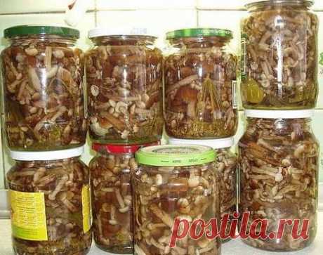 МАРИНОВАННЫЕ ОПЯТА