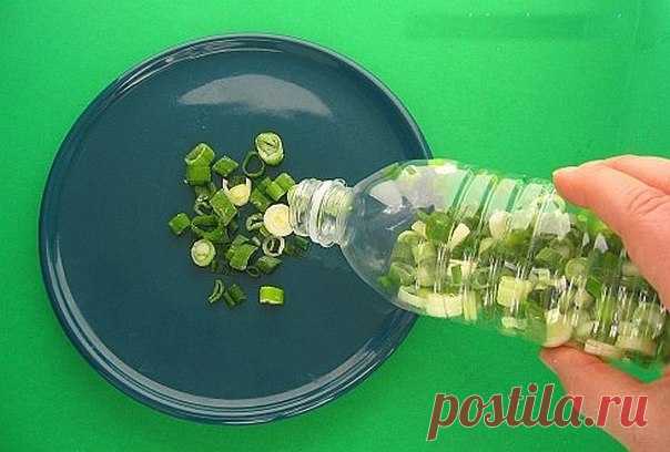 Как лучше хранить продукты