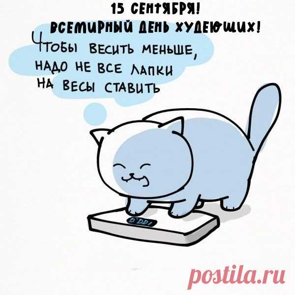 Всем худеющим сегодня
Мои поздравления!
Силы духа вам огромной,
Большого терпения!
