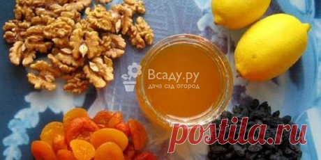 Как приготовить пасту Амосова - лучшее средство для защиты организма Паста Амосова - полезные качества и рецепт приготовления: повышаем иммунитет, восстанавливаем организм после болезни. Как хранить и применять пасту Амосова