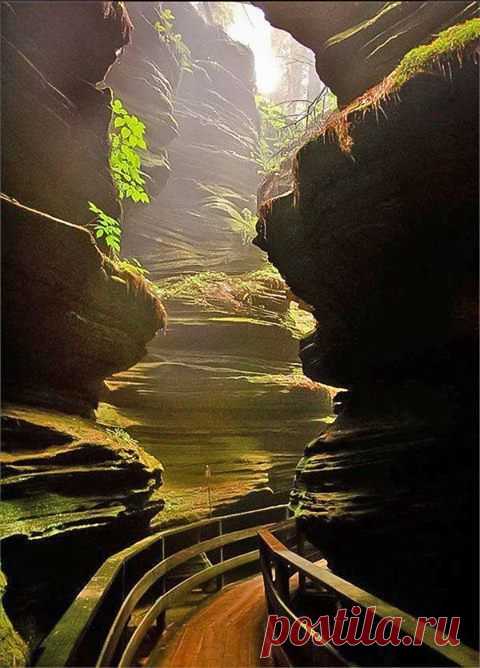 (21) Timeline Photos - Green Renaissance