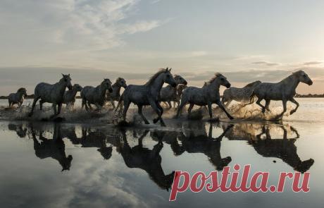 На заходе дня