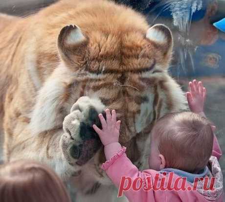 Группа: Шедевры фотографии