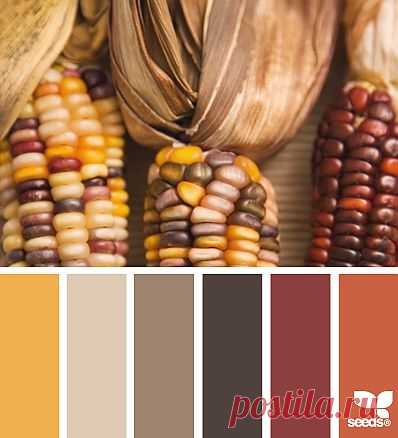 for all who ❤ color | husked hues