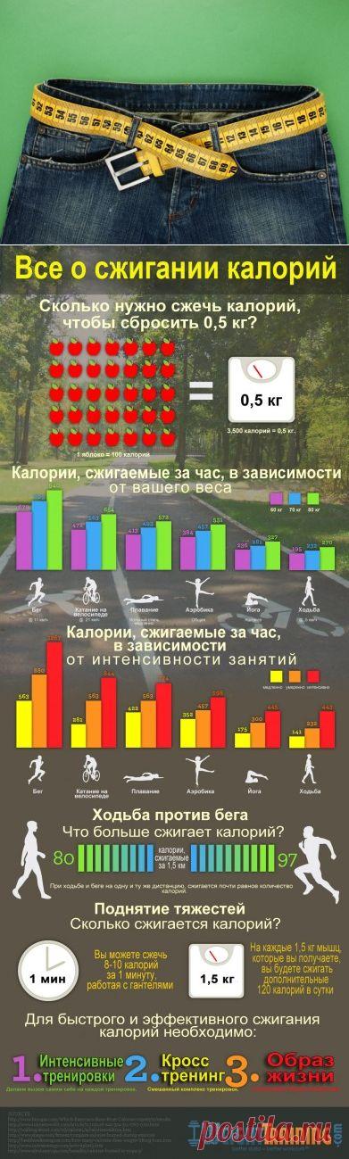 Полезная информация о сжигании калорий