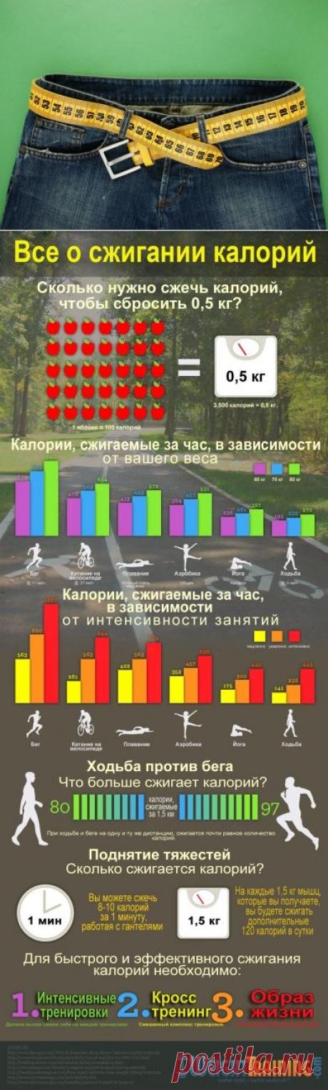 Полезная информация о сжигании калорий