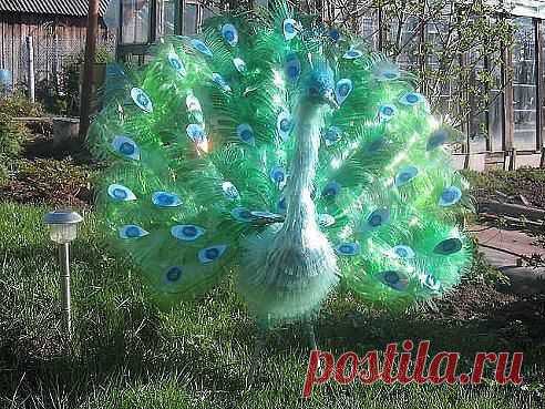 Идея для дачи из пластиковых бутылок