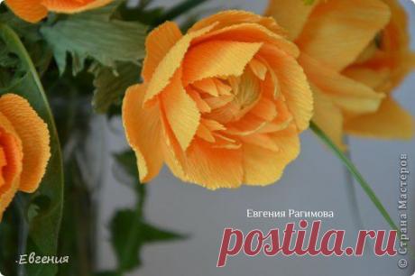 Купальница огоньки МК | Конфетный рай