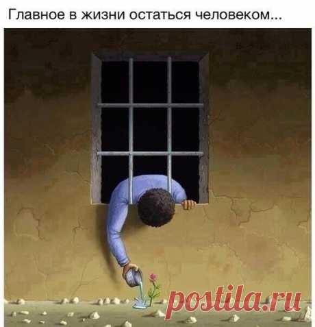 Злые мысли человечества