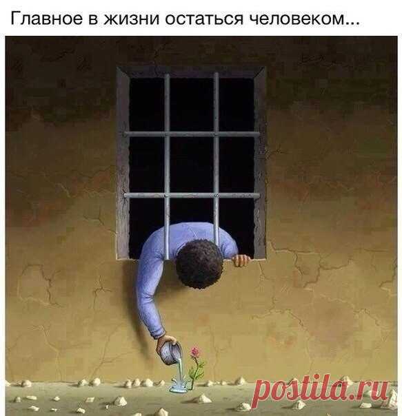 Злые мысли человечества