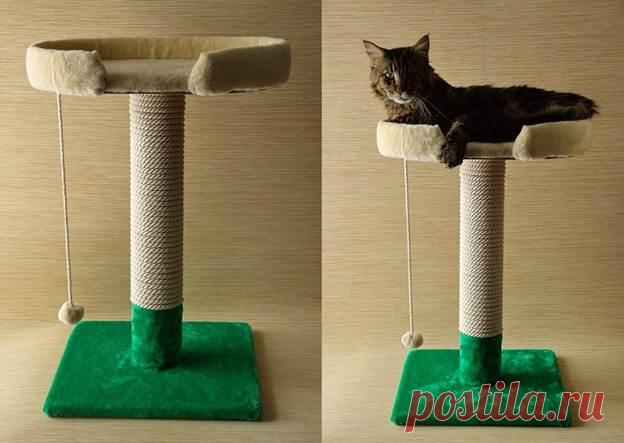 Как сделать когтеточку с лежанкой для кошки: пошаговая инструкция Когтеточка – важный гаджет для кошки, который должен быть в каждом доме. Сделать такое можно самостоятельно. Перечень необходимых вещей и инструкция по сбору когтеточки на сайте.