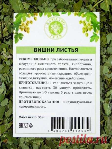 Вишни листья - лечебные свойства