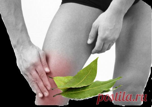 Очищение суставов лавровыми листьями