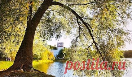 Built on the shores of picturesque Lake Novodevichy Convent, inspired by Pyotr Ilyich Tchaikovsky on the story for the ballet "Swan Lake"﻿